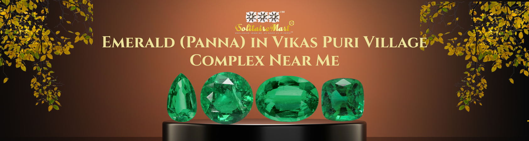 Emerald (Panna) in Vikas Puri Village Complex Near Me