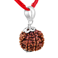 Rudraksha Pendant 1-5 Mukhi