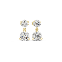 New Arrivals Drop Earrings