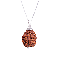 Rudraksha Pendant 5-7 Mukhi