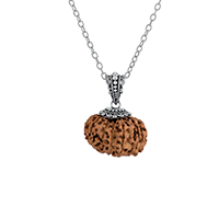 Rudraksha Pendant 7-13 Mukhi
