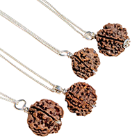 Rudraksha Pendant Combo