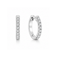 Huggie Earrings