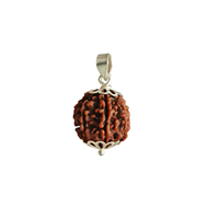 New Arrivals Rudraksha Pendant