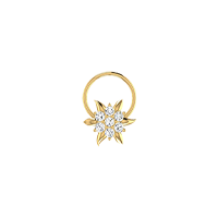 New Arrivals Special design nose pin