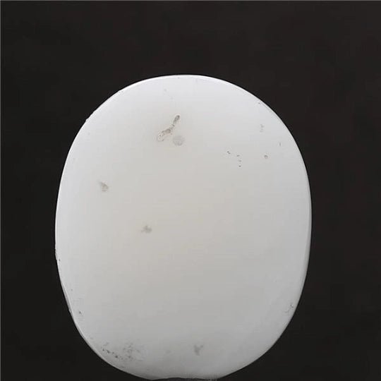 10.72 carat 12 ratti IGL certified natural Japanese oval shape white coral stone.