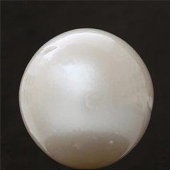 13.05 carat 14.36 Ratti Gii India certified south sea pearl