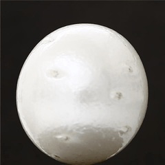 13.8 Carat 15.25 Ratti GII Certified Natural Australian Pearl Gemstone