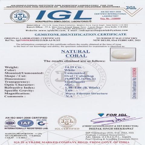 14.29 carat 15.72 ratti IGL certified natural Japanese oval shape white coral stone.