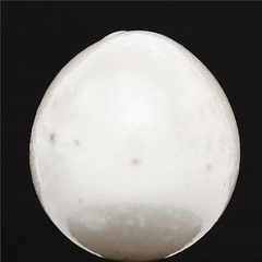 25.45 Carat 28 Ratti Natural Australian Pearl Gemstone
