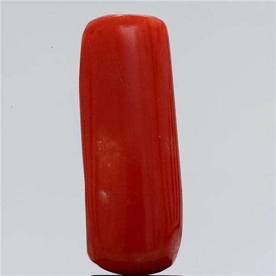 4.45 carat 5 ratti GII certified natural Italian cylindrical shape red coral stone.