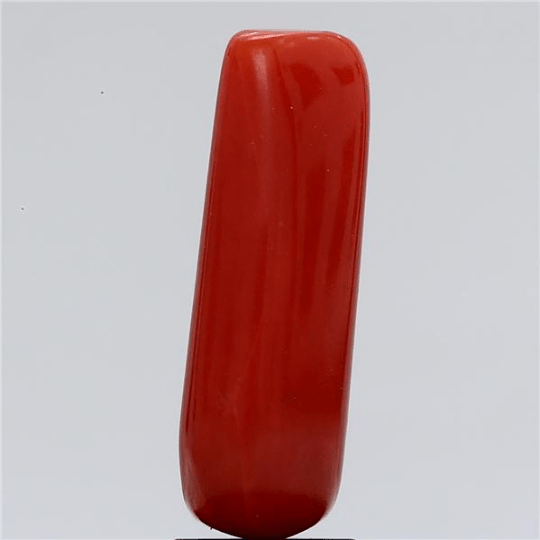 4.45 carat 5 ratti GII certified natural Italian cylindrical shape red coral stone.