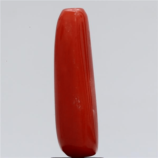 4.45 carat 5 ratti GII certified natural Italian cylindrical shape red coral stone.