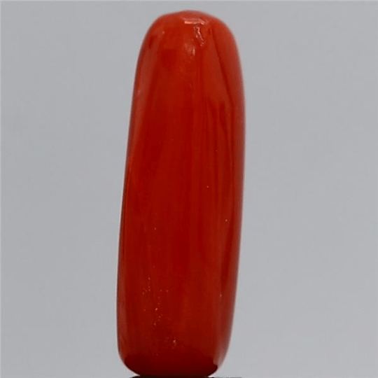4.45 carat 5 ratti GII certified natural Italian cylindrical shape red coral stone.