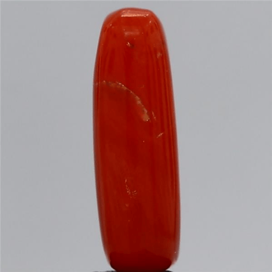 4.45 carat 5 ratti GII certified natural Italian cylindrical shape red coral stone.