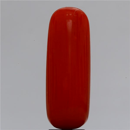 6.15 carat 7 ratti IGI-GTL certified natural Italian cylindrical shape red coral stone.