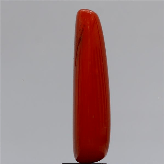 6.15 carat 7 ratti IGI-GTL certified natural Italian cylindrical shape red coral stone.