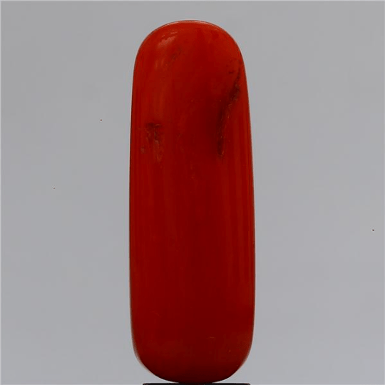 6.15 carat 7 ratti IGI-GTL certified natural Italian cylindrical shape red coral stone.