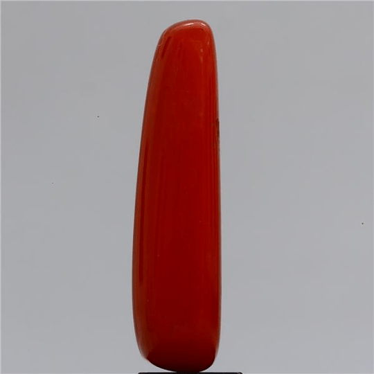 6.15 carat 7 ratti IGI-GTL certified natural Italian cylindrical shape red coral stone.