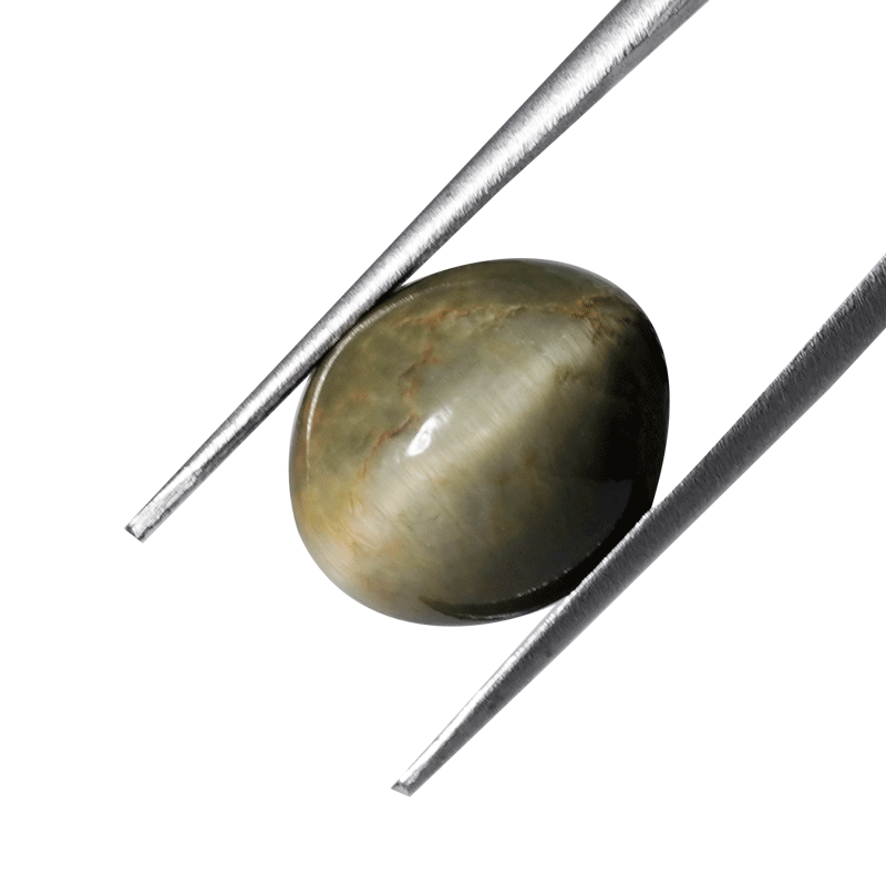 Whimsical Elegance: Embrace the Enchanting Magic of the 9.95ct Natural Cat's Eye Gemstone.