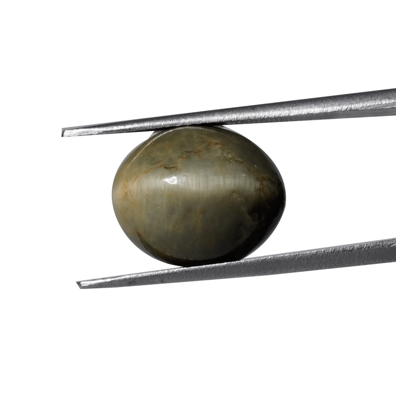 Whimsical Elegance: Embrace the Enchanting Magic of the 9.95ct Natural Cat's Eye Gemstone.