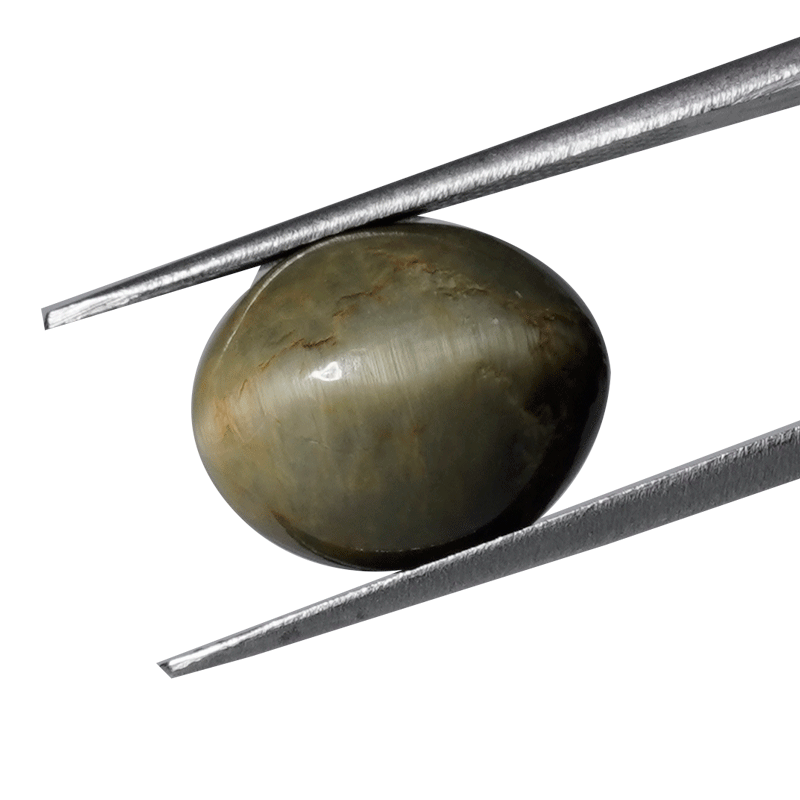 Whimsical Elegance: Embrace the Enchanting Magic of the 9.95ct Natural Cat's Eye Gemstone.